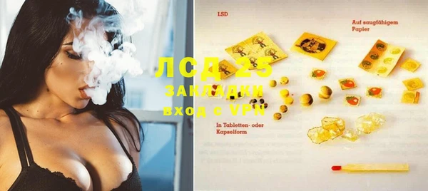 шишки Алзамай
