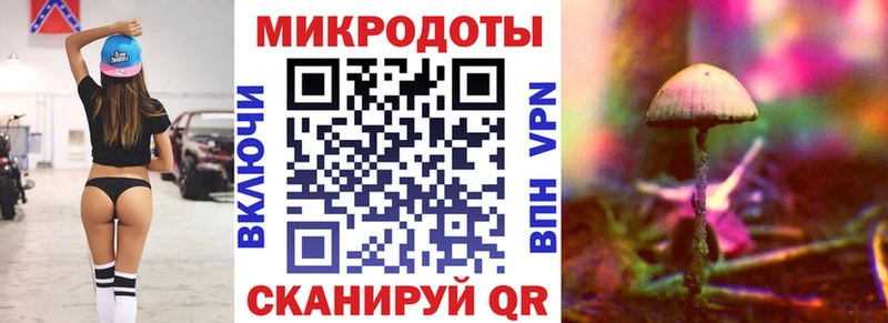 площадка наркотические препараты  Ковылкино  Псилоцибиновые грибы MAGIC MUSHROOMS  купить наркотики сайты 