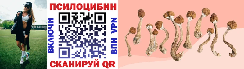 Галлюциногенные грибы Cubensis Ковылкино